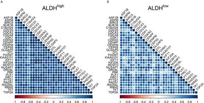 New Perspectives in Different Gene Expression Profiles for Early and Locally Advanced Non-Small Cell Lung Cancer Stem Cells